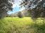 Immagine 27