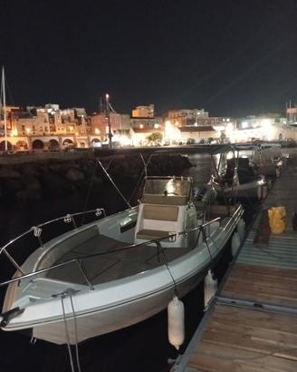 barca a motore