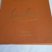 Dal Ponte di Ferro alla Casaccia - Silvio Polloni