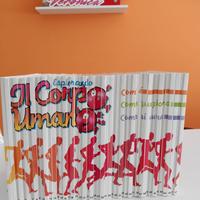 libri copertina rigida Esplorando il corpo umano 