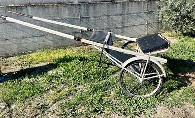 Calesse per cavallo