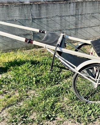 Calesse per cavallo