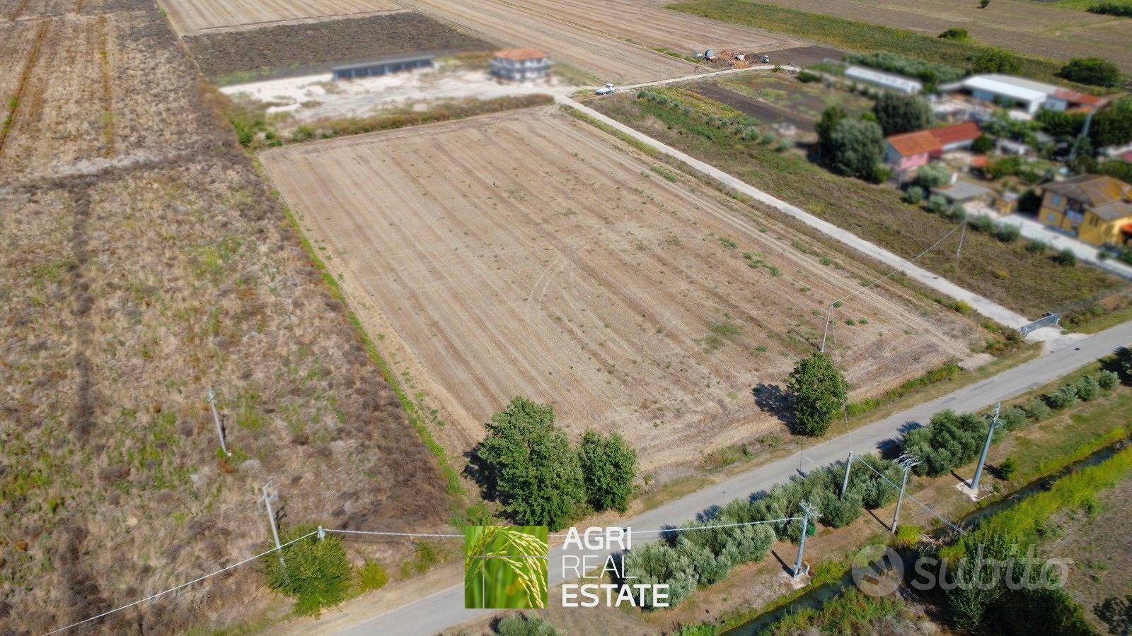 Terreno agricolo pianeggiante 8 HA fronte strada - Vista 4