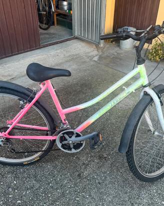 Bici ragazza 12 anni