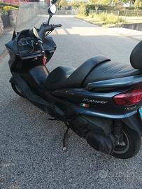 maiesty 250