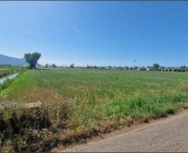 Terreno Agricolo a Pontinia