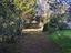 Immagine 26