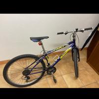 Bici rampichino