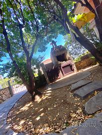 Casa vacanze San Teodoro-straulas