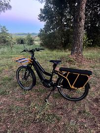 Riese & Müller Multicharger 2 Mixte GT Vario