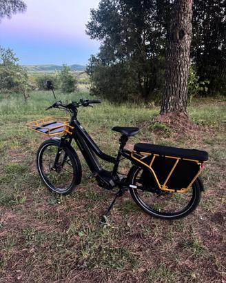 Riese & Müller Multicharger 2 Mixte GT Vario