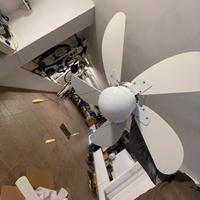 Ventola con luce diametro 75cm