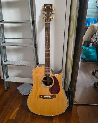 Chitarra acustica Aria