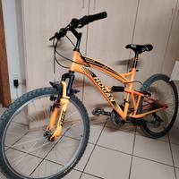 mtb biammortizzata 