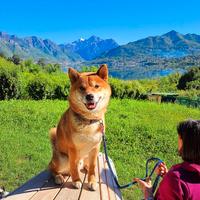 Kylo - Maschio per compagna
