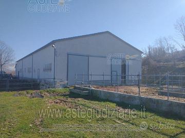 Azienda Agricola Guardiaregia [A4332277]