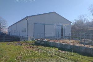 Azienda Agricola Guardiaregia [A4332277]