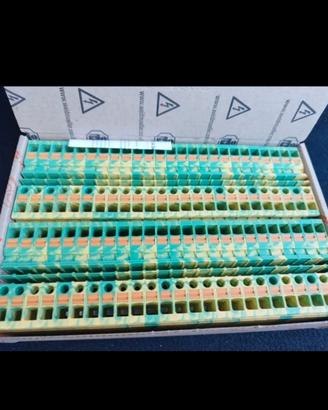 Morsetti per quadri elettrici 6mm² giallo-verde