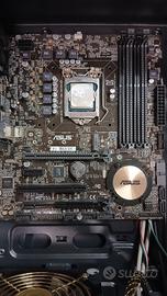 scheda madre asus h170m-e d3