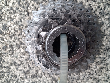 Pacco pignoni chorus 11v 11/25