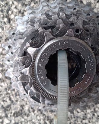 Pacco pignoni chorus 11v 11/25