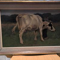 Mucca  Van Der Weele