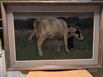 Mucca  Van Der Weele