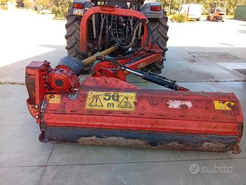 Trincia giraffa maschio