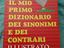 Immagine 1