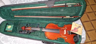 violino 