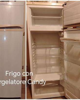 frigo