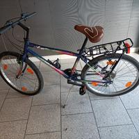 Bici mtb