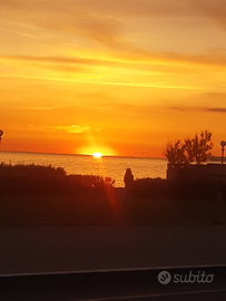 Ponza libero. agosto