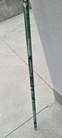 canna bolognese 8 mt
