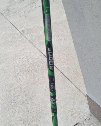 canna bolognese 8 mt