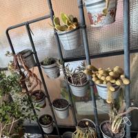 Supporto Ikea in metallo per piante