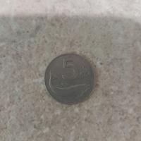 Moneta  5 lire del 1951