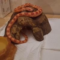 Serpente del grano