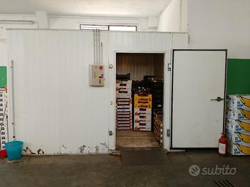 celle frigorifere frutta e verdura 