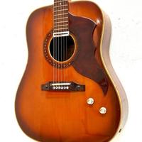 Chitarra Eko Ranger  VI