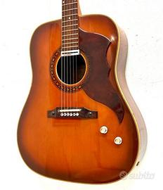 Chitarra Eko Ranger  VI