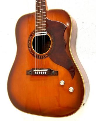 Chitarra Eko Ranger  VI