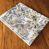 Catalogo della mostra Jackson Pollock di Roma