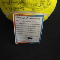 Pallone Wimbledon autografato Big Four+6 con COA 