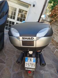 Bauletto shad sh 48 per Guzzi v7 Stone