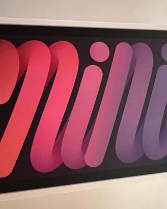 Ipad mini 6th generazione wifi + cell