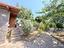 Immagine 29