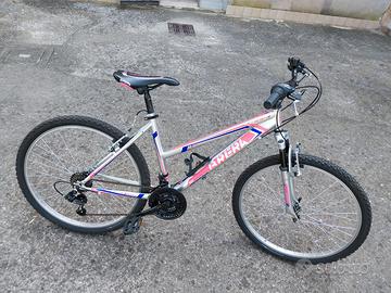Mtb raggio 26"
