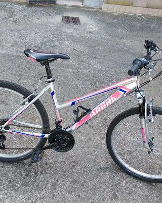 Mtb raggio 26"