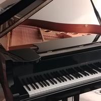 Pianoforte mezza coda Siheko  